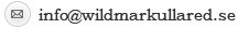 Kontakta oss via e-post