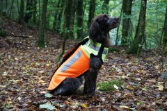 Pinewood BoarProtect Dog Cut-Protect Vest