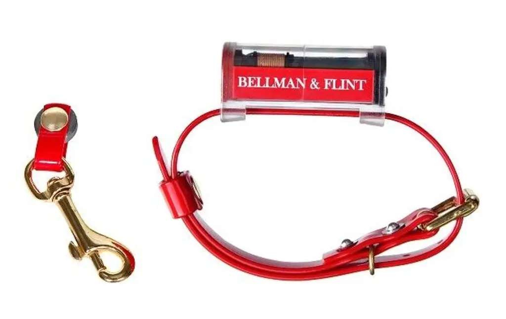 Bellman & Flint grythalsband