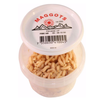 Fibe Maggot Vit ca 200st
