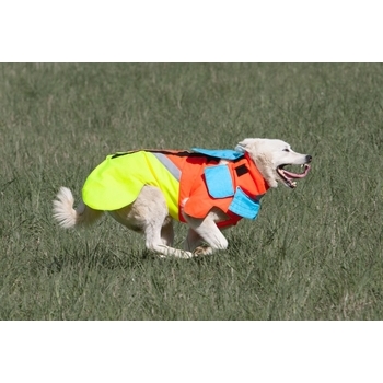 Tuskproof Boar Orange