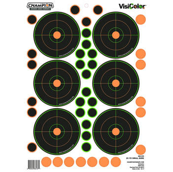 Champion 25 Yd VisiColor Sm Bore 5Pk W/90 Pastors